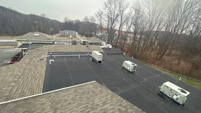 1Call Restore Picture 1