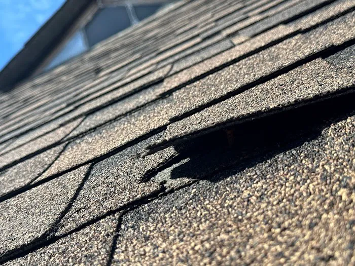 1Call Restore Picture 6