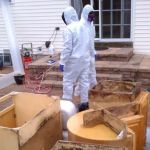 Above & Beyond Mold Inspection & Removal - Teaneck