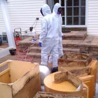 Above & Beyond Mold Inspection & Removal - Teaneck ico