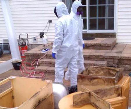 Above & Beyond Mold Inspection & Removal - Teaneck