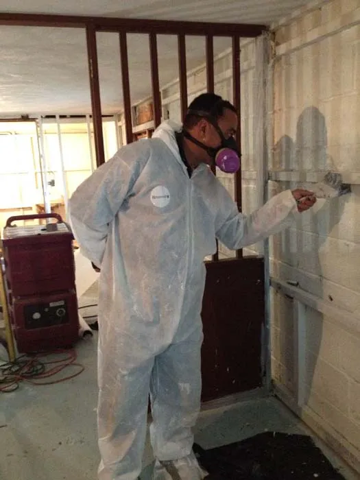 Above & Beyond Mold Inspection & Removal - Teaneck Picture 4