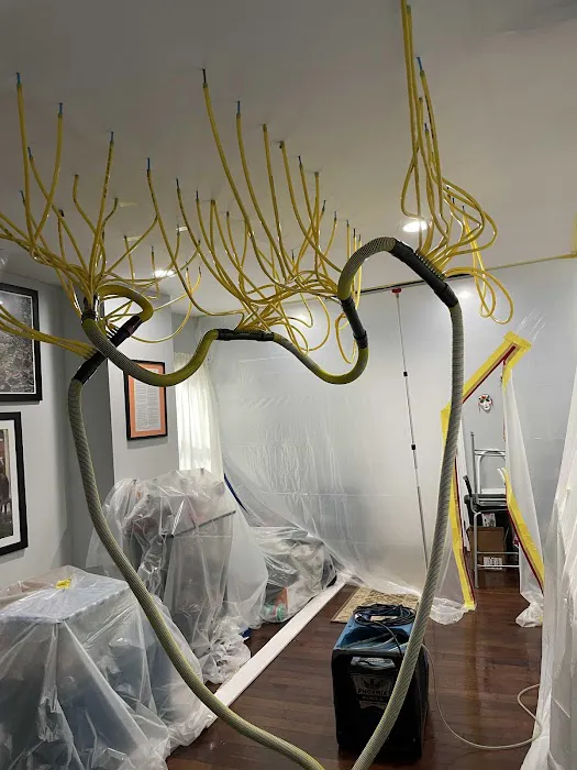 NJ Water and Mold Picture 6