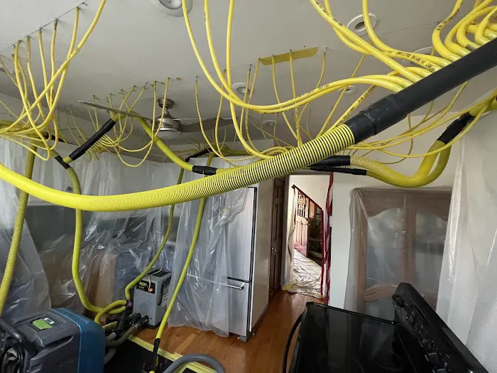 NJ Water and Mold Picture 7