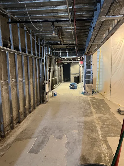 Dr Mold Removal Picture 10