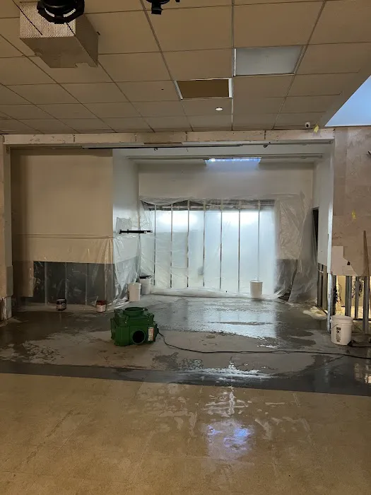 Dr Mold Removal Picture 2