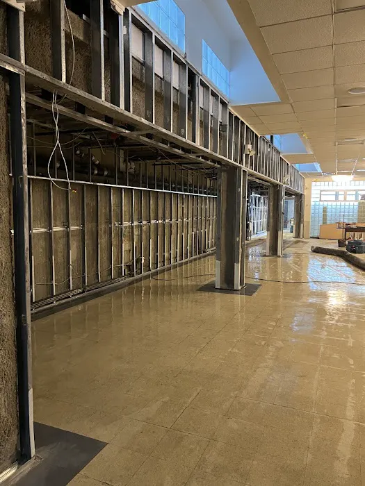 Dr Mold Removal Picture 4