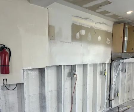 Dr Mold Removal