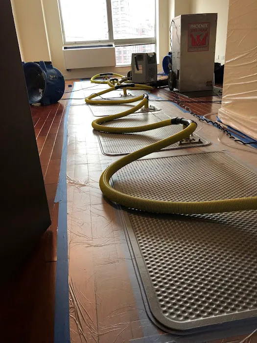 FloodCo USA - Water Damage Restoration, Mold Removal and Mold Testing, & Cleaning Services serving in Hoboken and Jersey City Picture 10