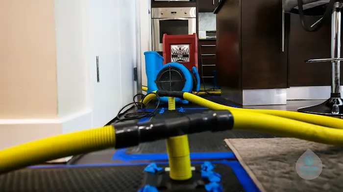 FloodCo USA - Water Damage Restoration, Mold Removal and Mold Testing, & Cleaning Services serving in Hoboken and Jersey City Picture 4