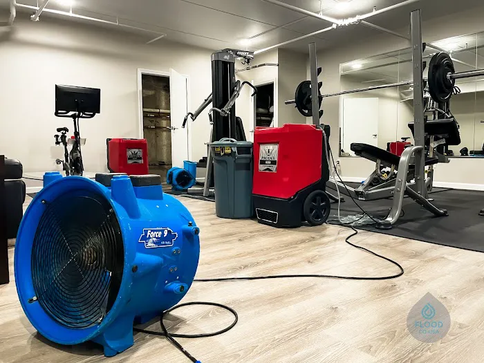 FloodCo USA - Water Damage Restoration, Mold Removal and Mold Testing, & Cleaning Services serving in Hoboken and Jersey City Picture 6