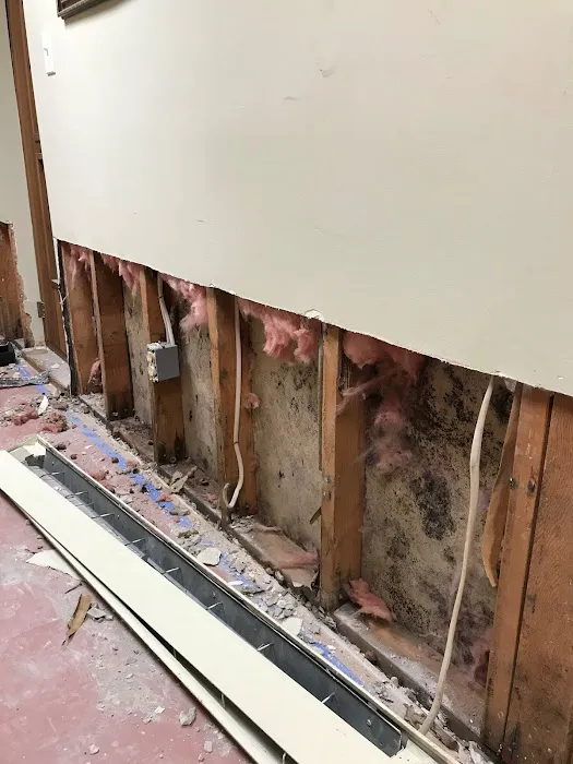 FloodCo USA - Water Damage Restoration, Mold Removal and Mold Testing, & Cleaning Services serving in Hoboken and Jersey City Picture 8