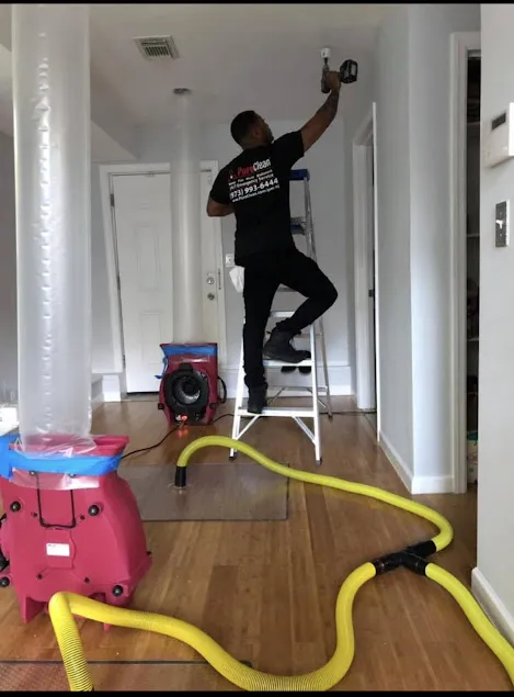 PuroClean of Bloomfield Picture 5