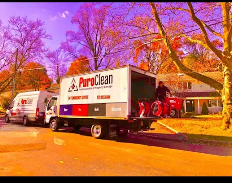 PuroClean of Bloomfield Picture 3