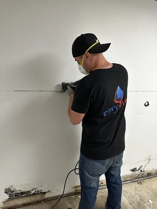 DryQuik Water Damage Restoration Picture 10