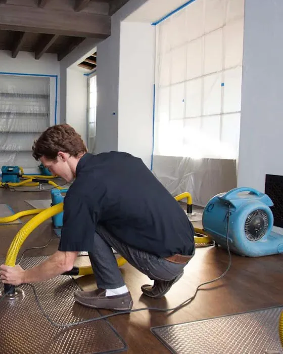 DryQuik Water Damage Restoration Picture 4