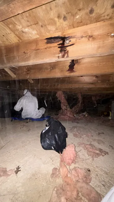 Allstate Restoration Picture 10