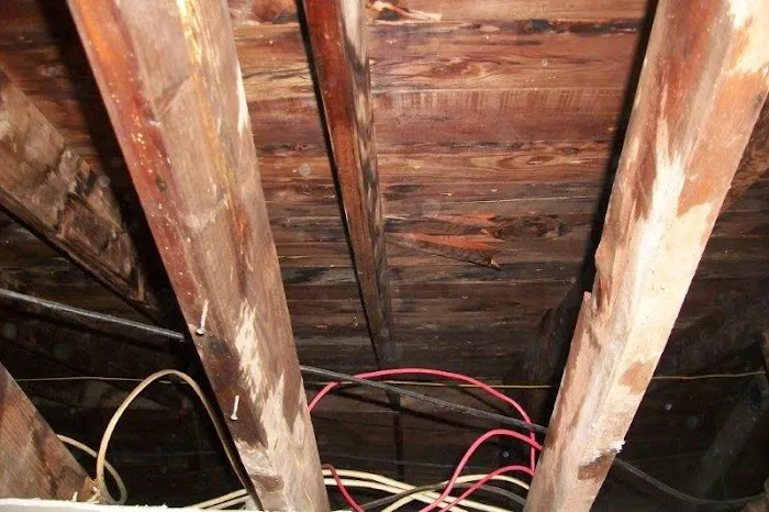 MDL Restoration, Inc. Picture 10