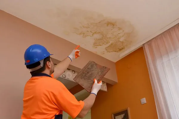 CARR Mold Removal & Mold Remediation Services Co, NJ Picture 2