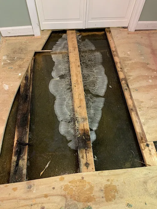 MaxClean Restoration Picture 4