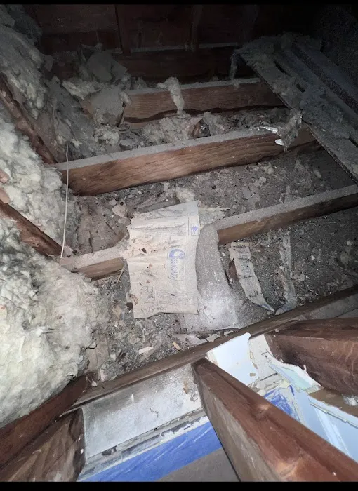 HomeCleanse Picture 1