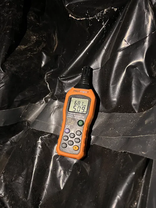 HomeCleanse Picture 2