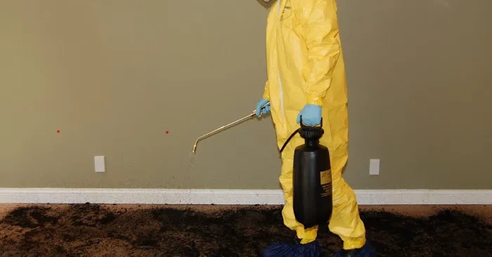 Perfect Restoration & Cleaning Picture 1