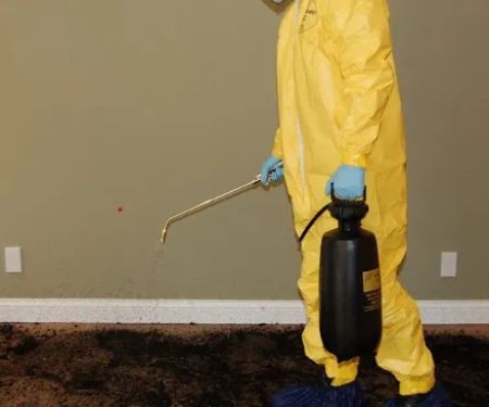 Perfect Restoration & Cleaning