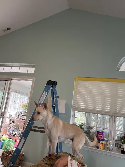 EMPIRE Restoration Services, LLC Picture 7