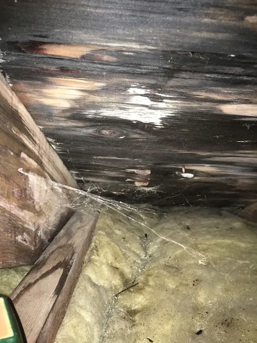 EMPIRE Restoration Services, LLC Picture 8