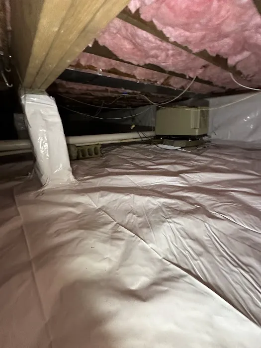 TRIDENT RESTORATION Picture 6