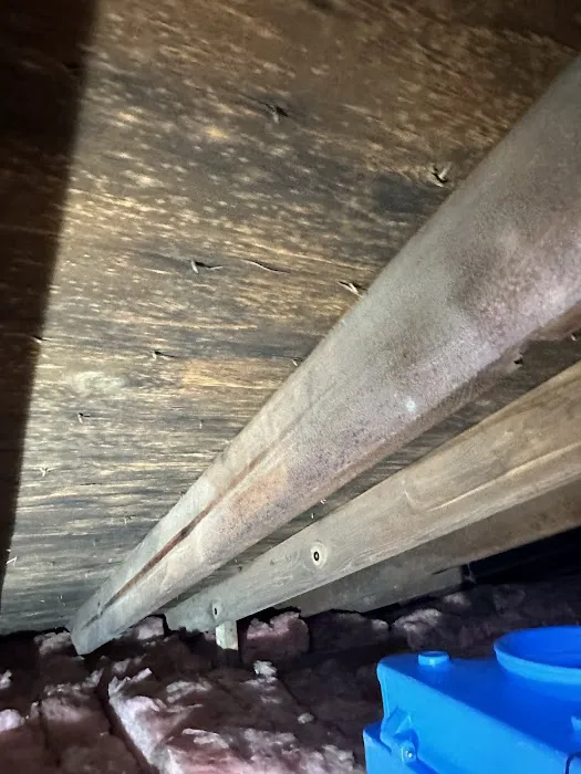 TRIDENT RESTORATION Picture 9