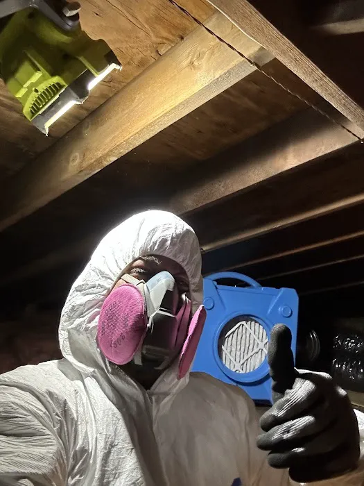 TRIDENT RESTORATION Picture 8