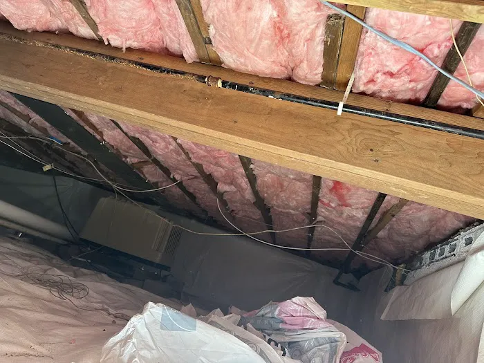 TRIDENT RESTORATION Picture 4