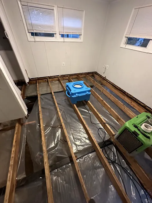 TRIDENT RESTORATION Picture 3