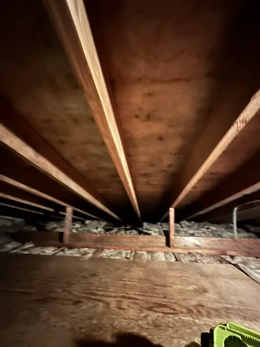 TRIDENT RESTORATION Picture 1