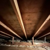 TRIDENT RESTORATION ico