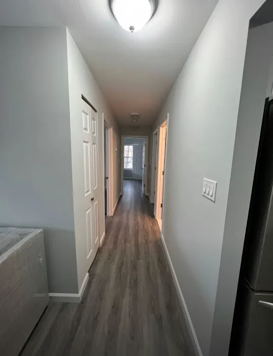 RestorePro Picture 7