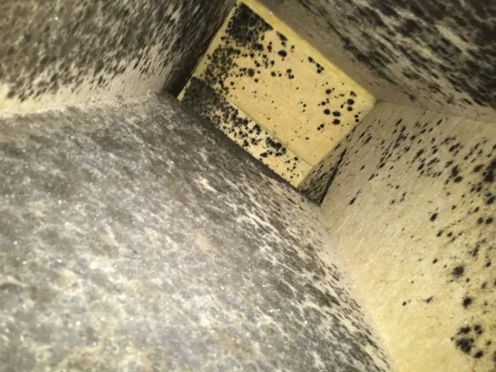 SERVPRO of Levittown Picture 3