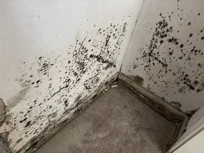 SERVPRO of Levittown Picture 6