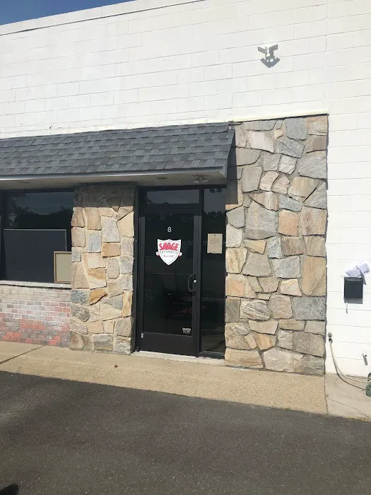 Savage Restoration Picture 5