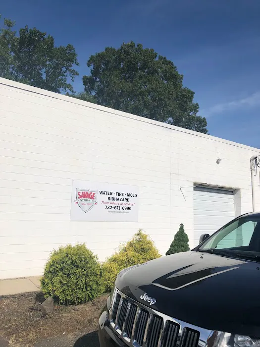 Savage Restoration Picture 4