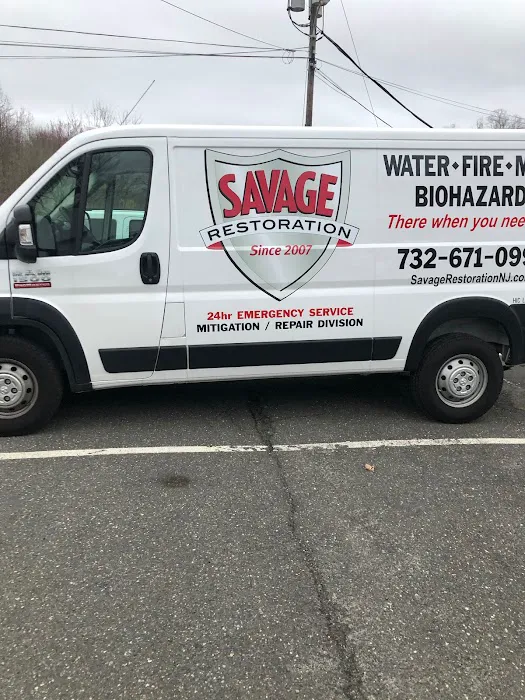 Savage Restoration Picture 10