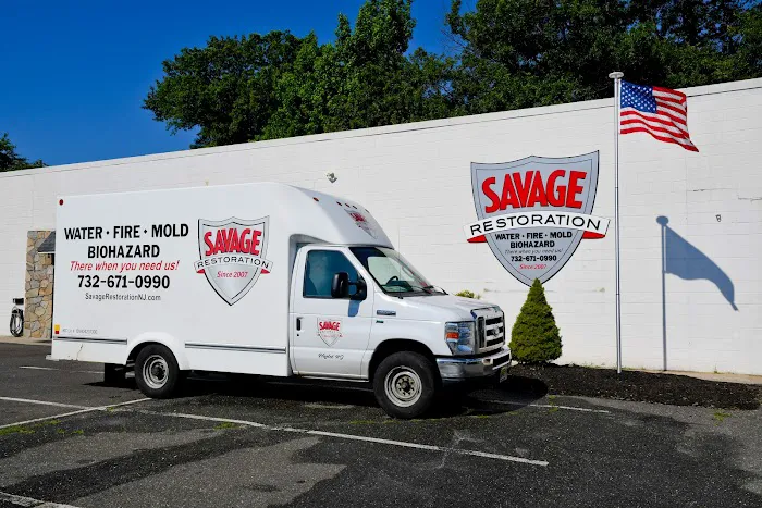 Savage Restoration Picture 8