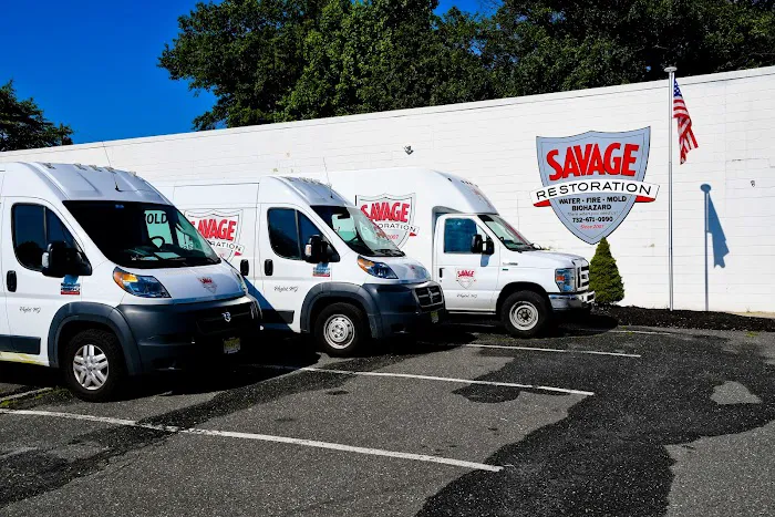 Savage Restoration Picture 7