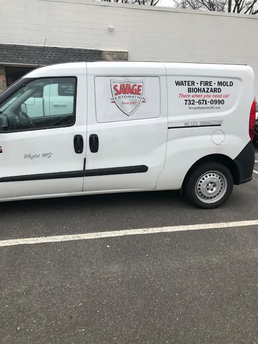 Savage Restoration Picture 6