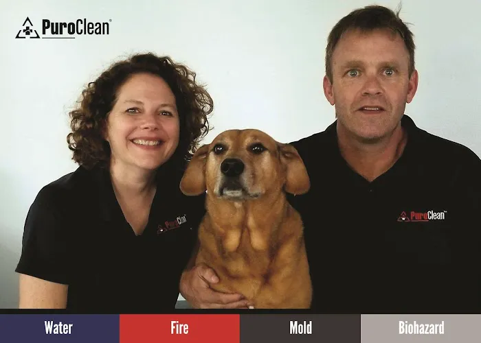 PuroClean of Matawan Picture 4