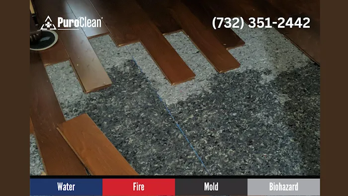 PuroClean of Matawan Picture 6