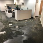 Trinity Water Restoration