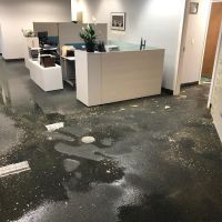 Trinity Water Restoration ico